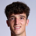 安德尔·阿斯特拉拉加