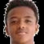 克莱弗尔·加布里埃尔