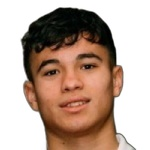 加布里埃尔·比安凯里